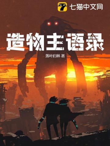 奇货:天地镜